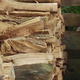 Illustration for article titled Can You Find the Cat Taking a Nap on This Pile of Wood?